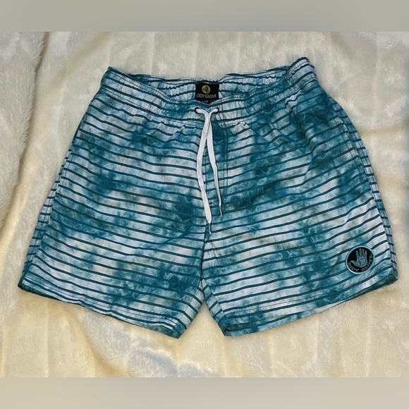 Bodyglove Vapor SwimTrunks Mens sz34 Blue Beachy Coastal Surf Vacation - Picture 1 of 10